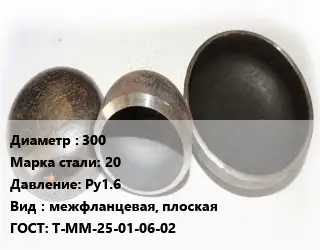 Заглушка стальная 300 Сталь: 20 Ру1.6 межфланцевая, плоская ГОСТ: Т-ММ-25-01-06-02